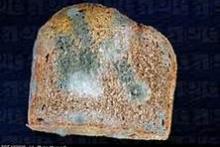moldy