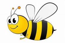 bee