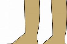 legs