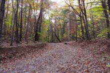 road_path