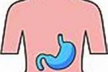 stomach